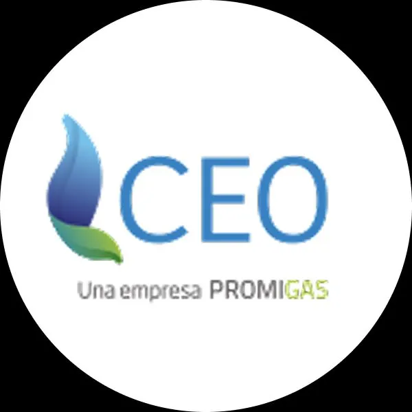 Ceo Compania Energetica de Occident
